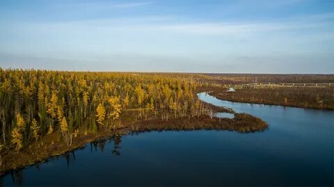 Зона уренгой