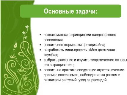 Синквейн на тему капалуха