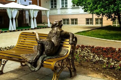 Кошки в йошкар оле