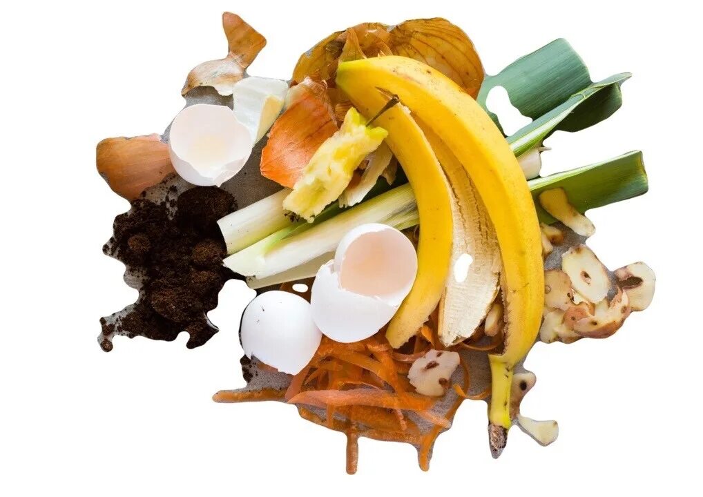 Пищевые отходы кухонь. Пищевые отходы. Органические отходы. Пищевые отходы на белом фоне. Органический мусор.