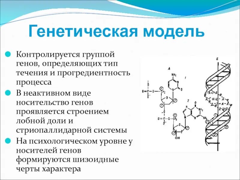 Как стать генетиком