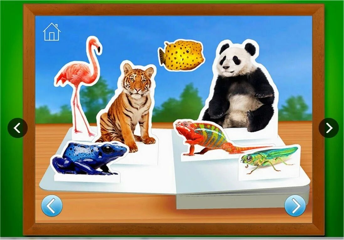 Learn приложение animal. Zoo на айфон. Логическая игра looking for animal story. Тетрадь зоо.