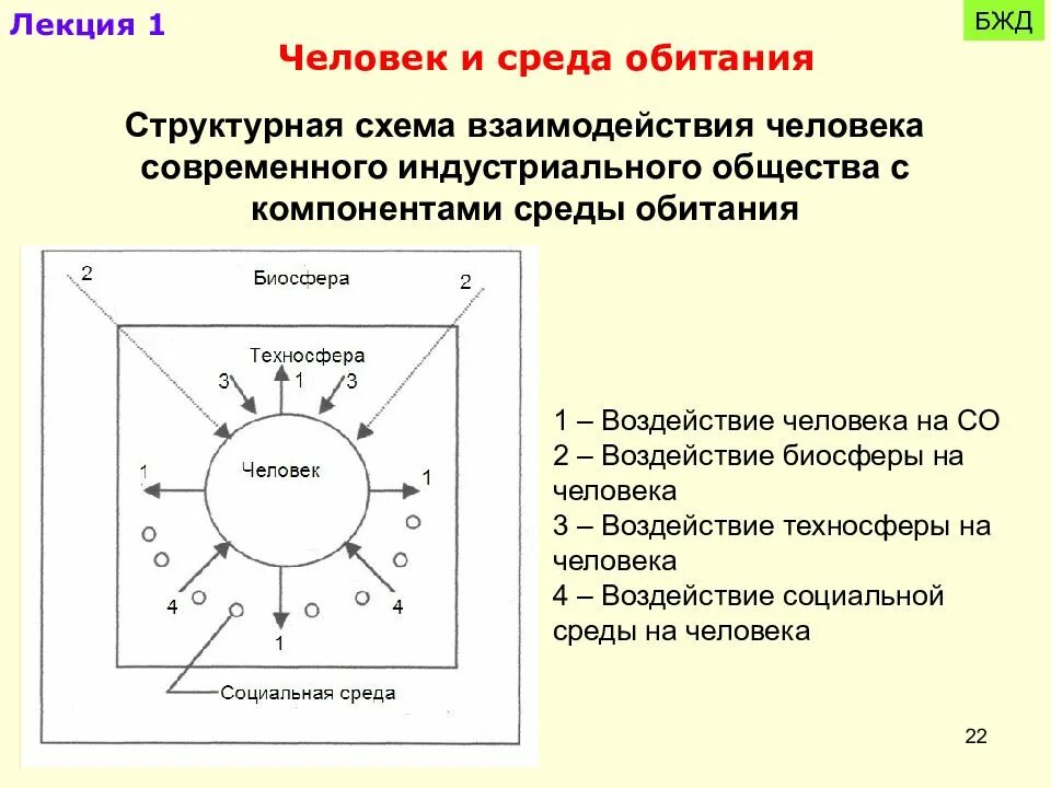 Схема человек среда обитания БЖД. Человек и Техносфера БЖД. Взаимодействие человека и биосферы схема. Схема взаимодействия человека со средой обитания.