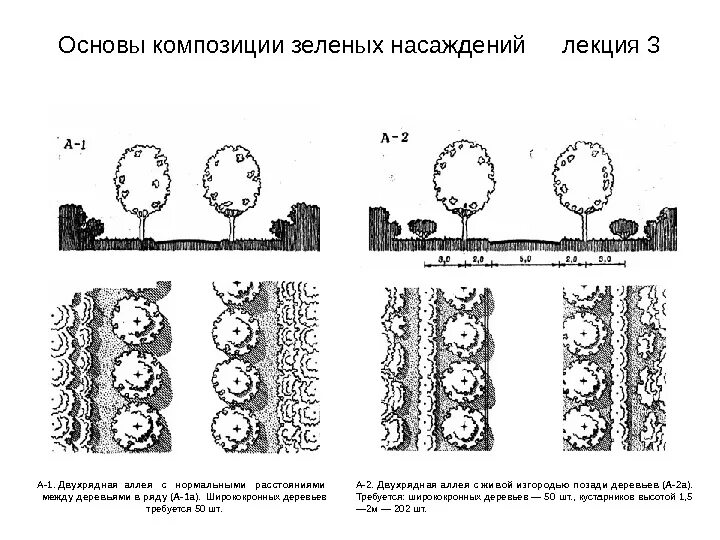Типы посадки деревьев. Аллейная посадка деревьев схема. двухрядная живая изгородь нормы посадки. рядовая посадка деревьев схема. схема посадки деревьев на аллее.
