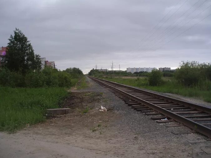 Железнодорожная ветка Кудьма Металлист. ЖД ветка в Пирогово. Пироговская Железнодорожная ветка. Железнодорожная ветка Мытищи Пирогово.