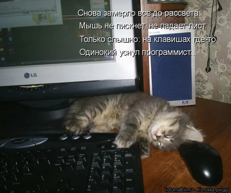 нужные люди. павел воля импровизация. не слышно замирающий. ничего не слышно. пустите погреться.