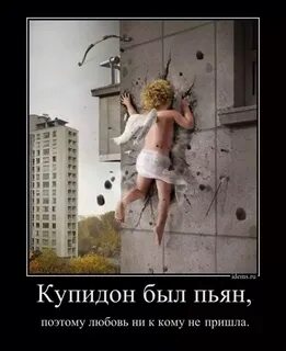 Купидон я ее не выбирал