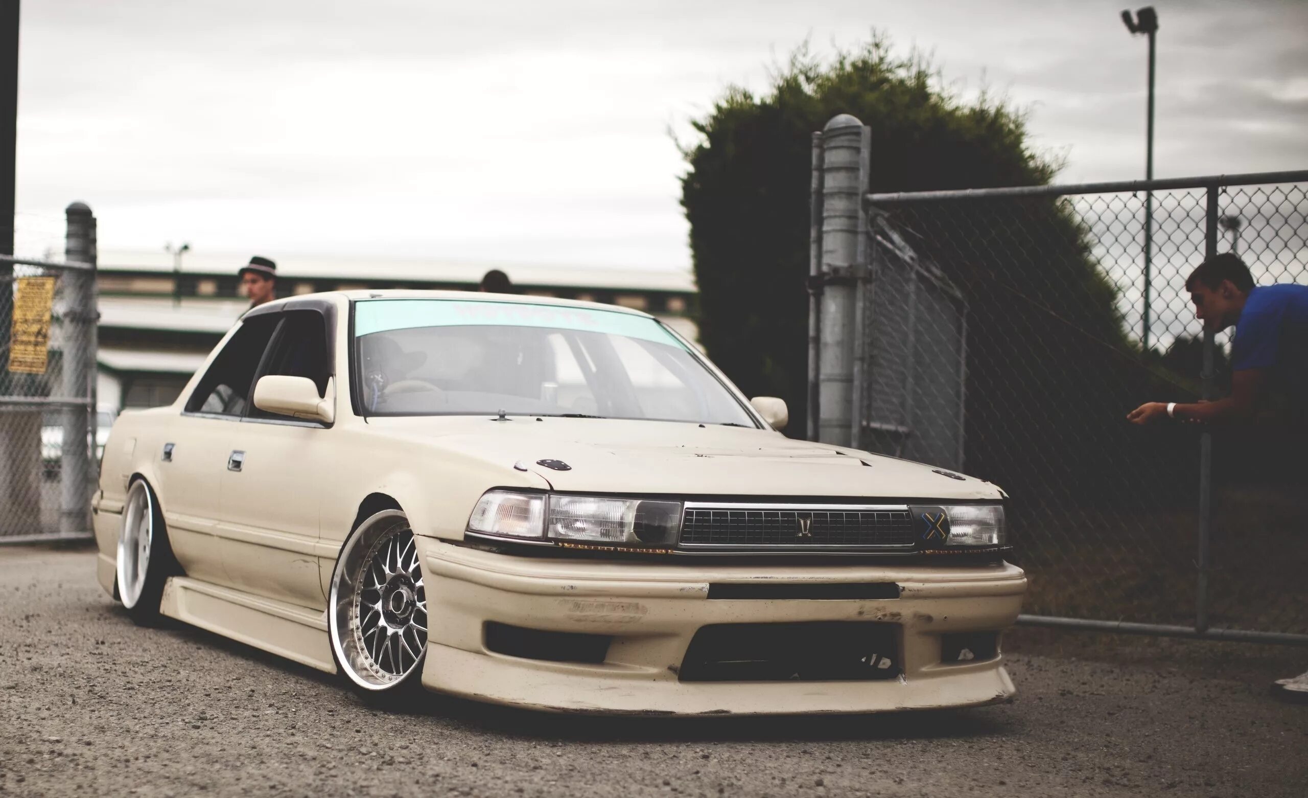 24 x 81
