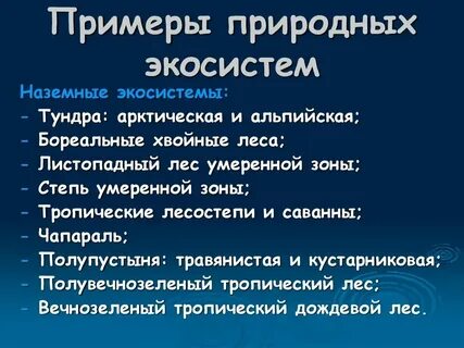 Природные экосистемы охраняют в