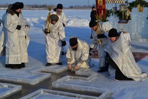 Выставки 19 января