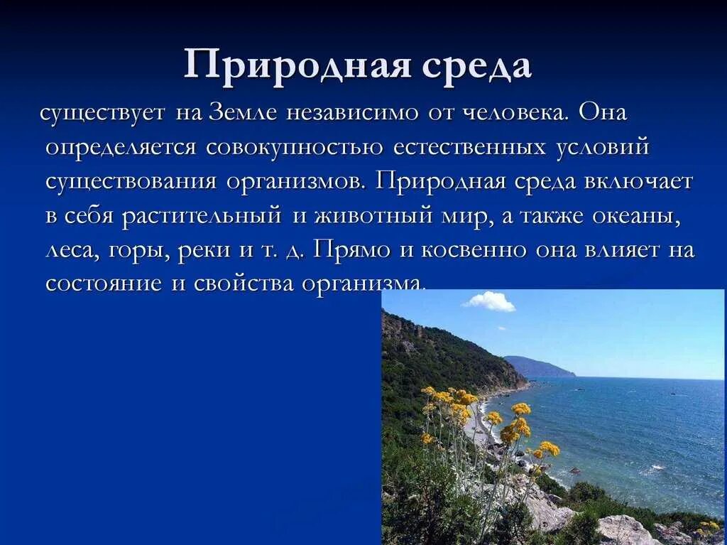 Природная среда. Естественно природная среда. Что включает в себя природная среда. Природная среда первая природа. Естественно природная среда обитания