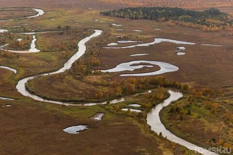Васюганская форма рельефа