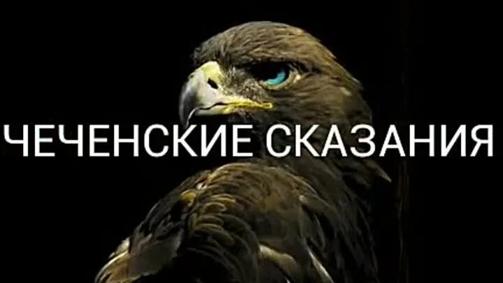 Честь превыше всего. Чеченская Легенда. Честь превыше всего картинка. Как писать честь превыше всего.