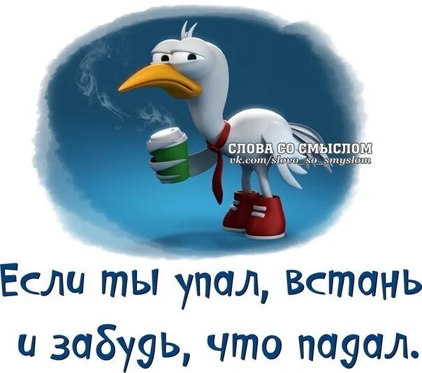 Несмотря вперед. Двигайся вперед несмотря ни на что. двигайся к своей цели несмотря ни на что. идите вперед несмотря ни на что цитаты. идите к цели несмотря ни на что цитаты.