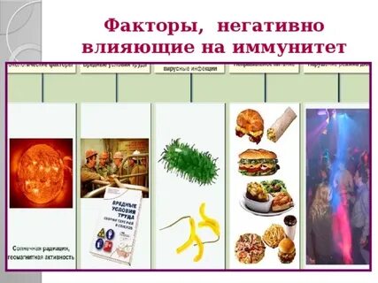 Факторы способствующие укреплению иммунитета