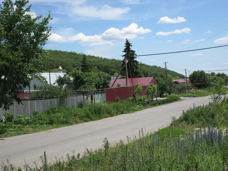 Корсаковка Саратовская область. Корсаковка Татищевский район. Село Корсаковка Татищевского района Саратовской области. Деревня Корсаковка Татищевский район. Ягодную поляну татищевского района саратовской области