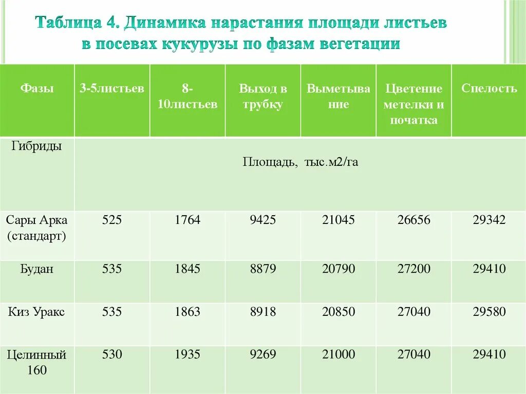 Площадь посева кукурузы. Таблица вегетации кукурузы. период вегетации кукурузы. фазы вегетации. фазы развития кукурузы на силос.