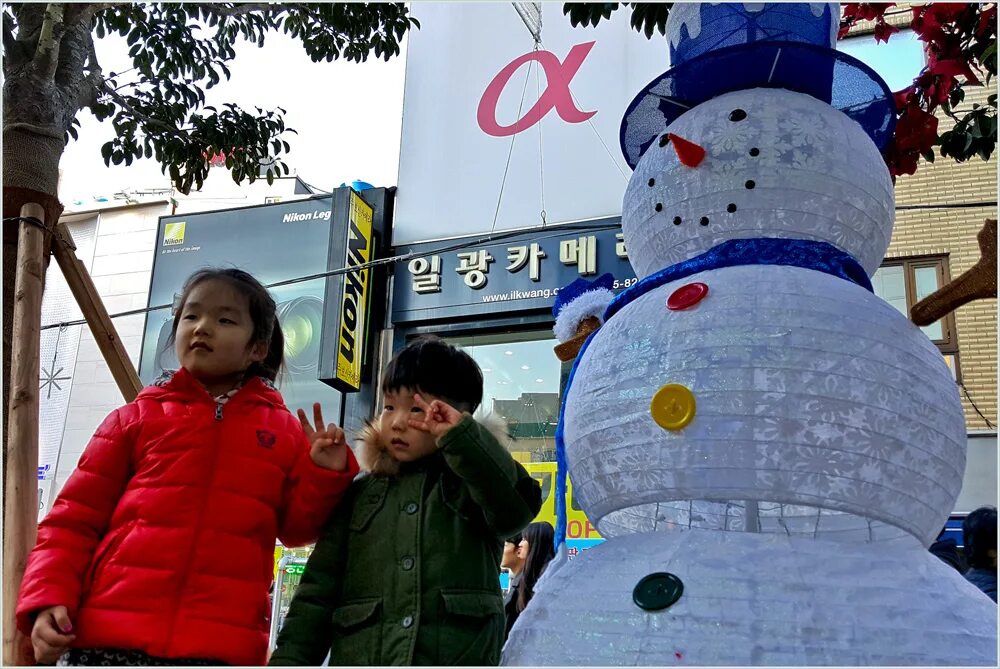 Новогодний фестиваль в южной корее. Корейский новый год в 2024 году. Рождество в южной корее. Елка в южной корее. Рождественские елки в южной корее.