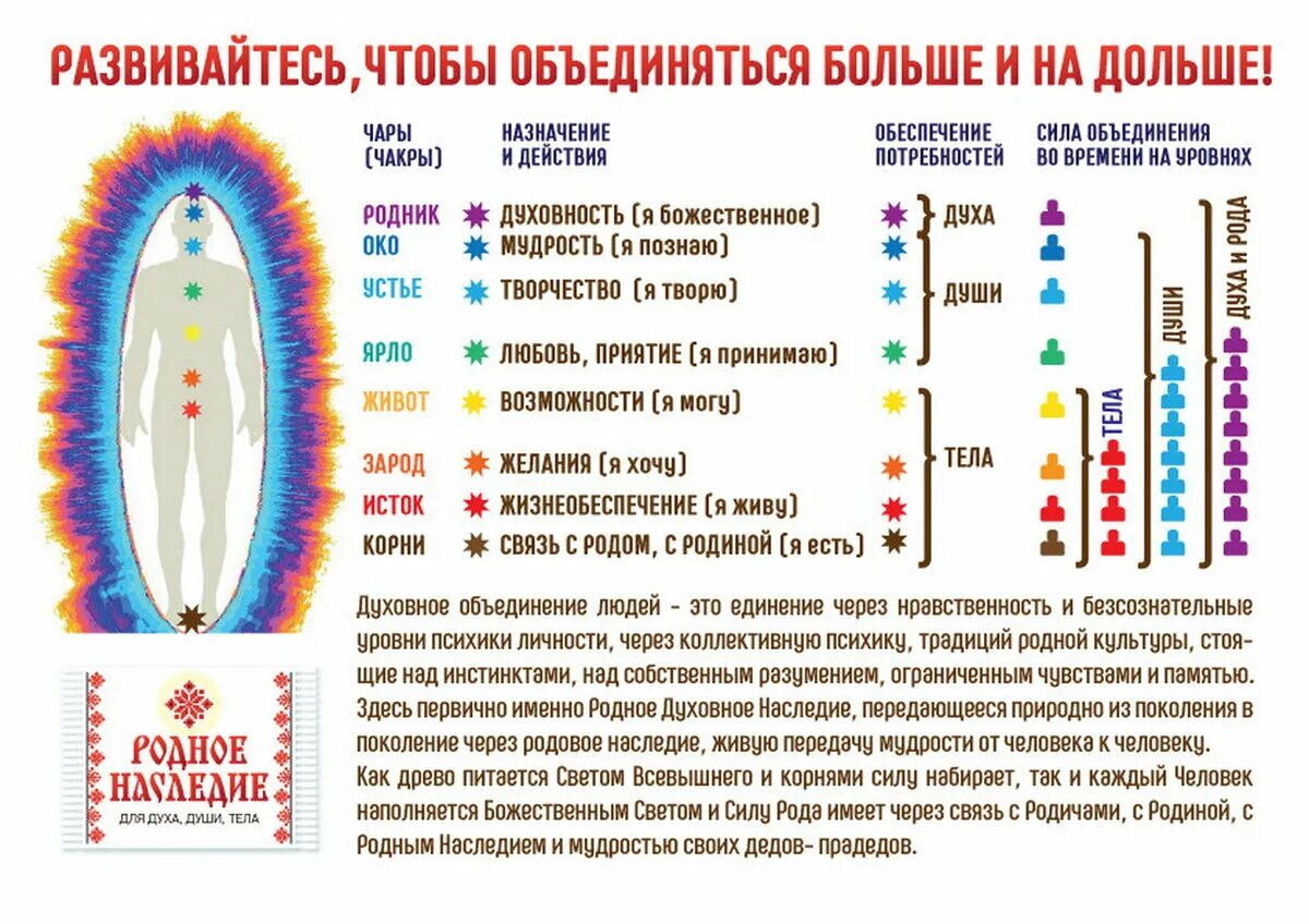 Схема рода человека. Сила рода поколения. Семь поколений предков. Род сколько поколений. Род предки.