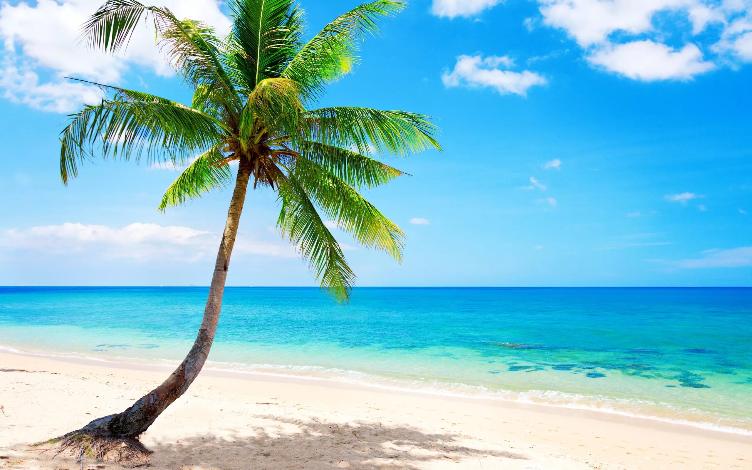 Mar caribe