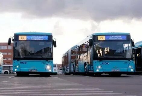 275 автобус маршрут спб