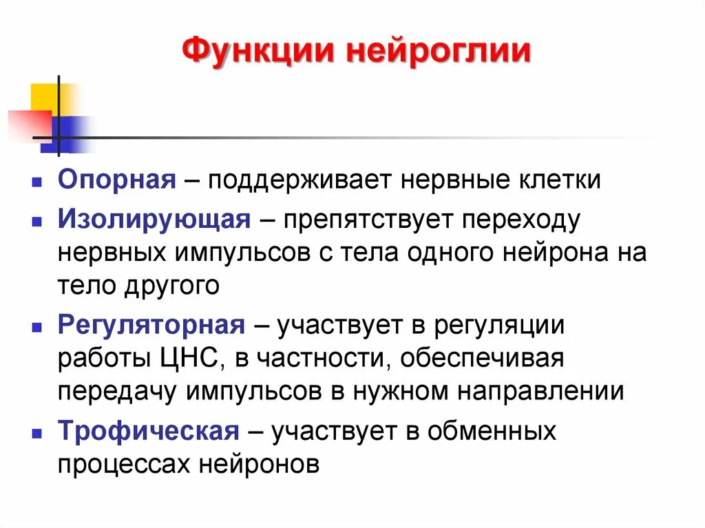 Изолирующая функция. Основные физиологические функции нейроглия. Классификация и функции нейроглии.. Функции глиальных клеток таблица. Клетки нейроглии выполняют следующие функции:.