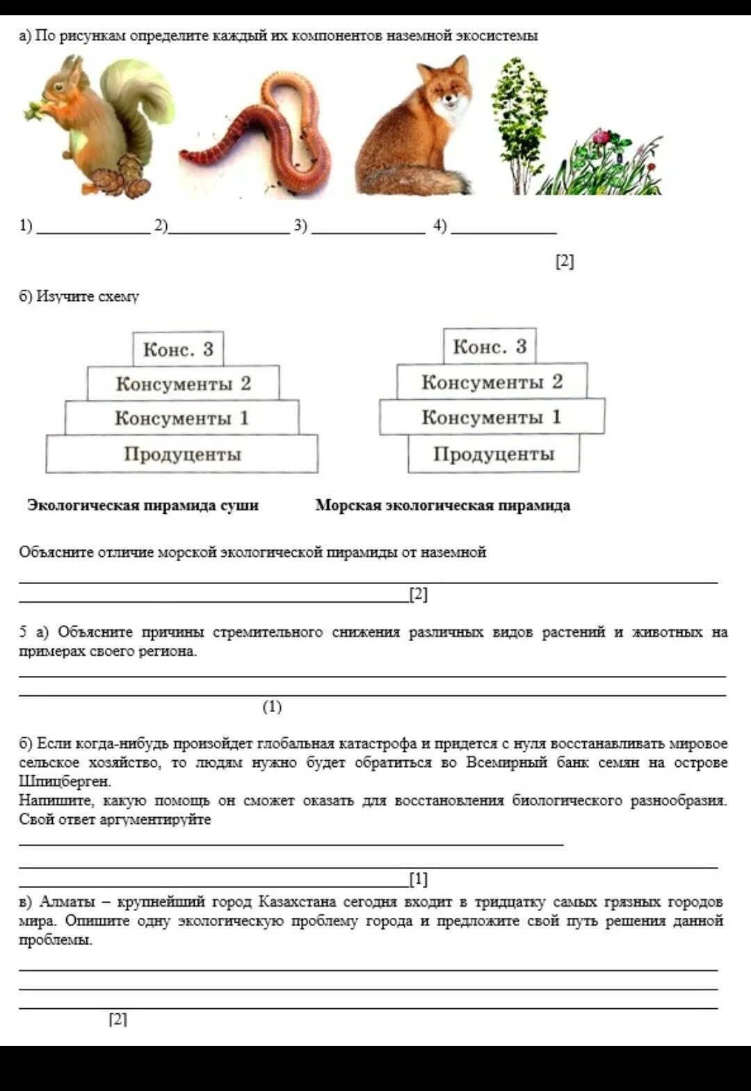 Соч по биологии 8 класс. Соч по биологии 9 класс Министерство. Соч конс.