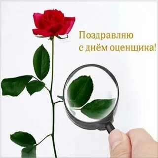 День оценщика картинки прикольные