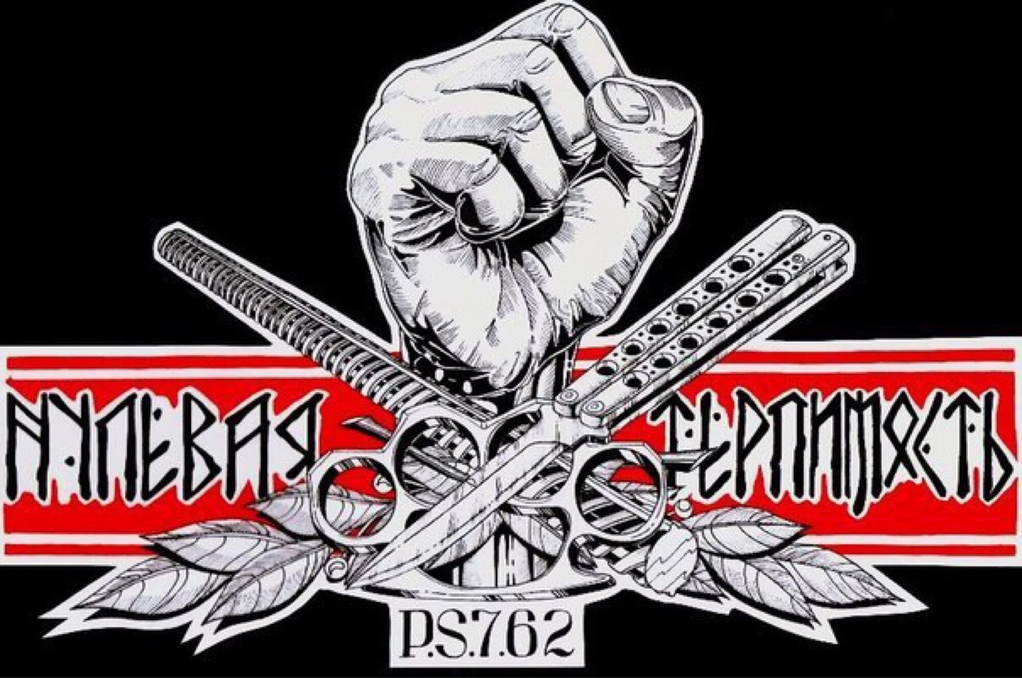 Революция в цвете p s 7.62. P.s.7.62 нулевая терпимость. ps 7.62 группа. нулевая терпимость футболка.