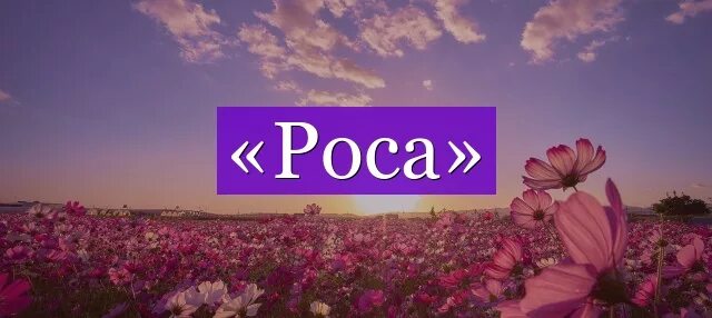 Подобрать к слову роса