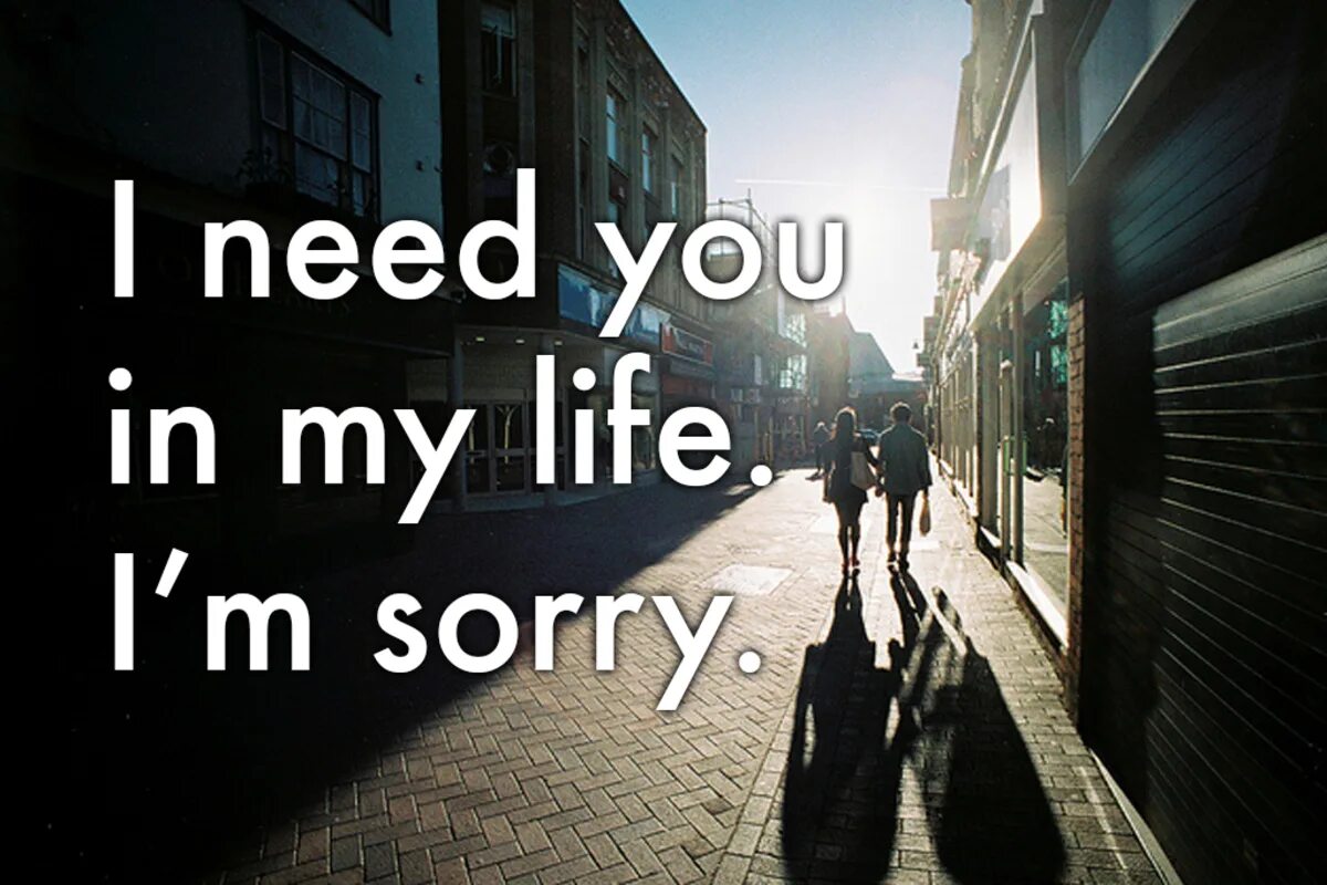 Sorry Life. Sorry quotes. Sorry фотографии. My Life i m sorry. This life you need