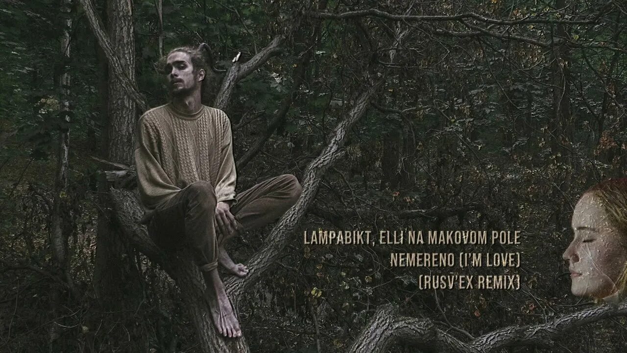 Лампабикт элли на маковом поле. Лампабикт элли на маковом поле