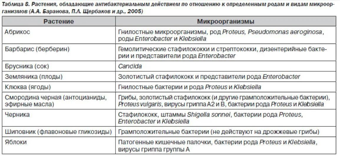 Лямблии у взрослых в печени лечение симптомы. Схема лечения дисбактериоза кишечника у взрослых. аллергические высыпания на коже при лямблиозе. лямблии у взрослых кожные высыпания. поражение кожи при лямблиозе.