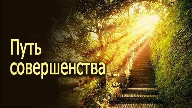 Путь к совершенству 2025. Путь к совершенству 2025