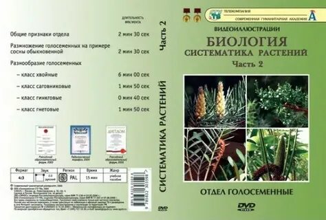 Систематика растений тест 7 класс с ответами