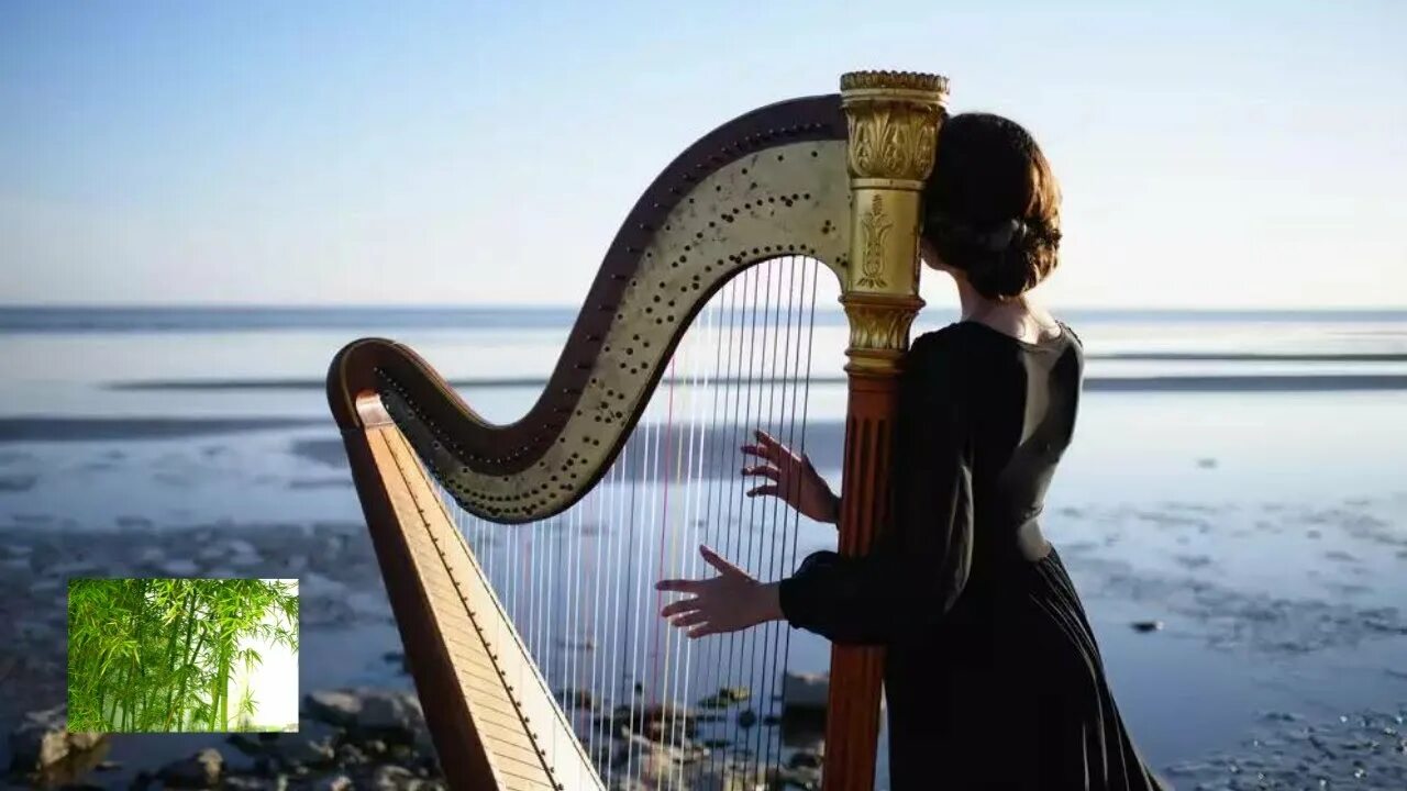 Арфа с арфисткой. Девушка с арфой. Арфа Эстетика. Music is beautiful