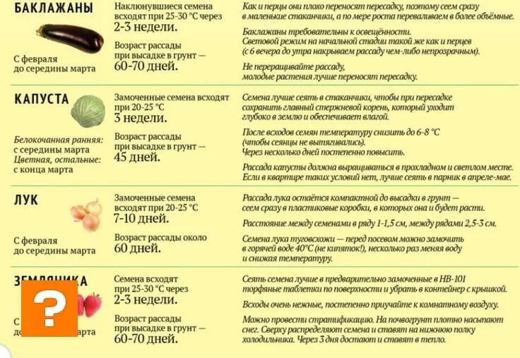 Когда сажать перец на рассаду в феврале. Что сажать в феврале на рассаду. Какие овощи сажать на рассаду в феврале.