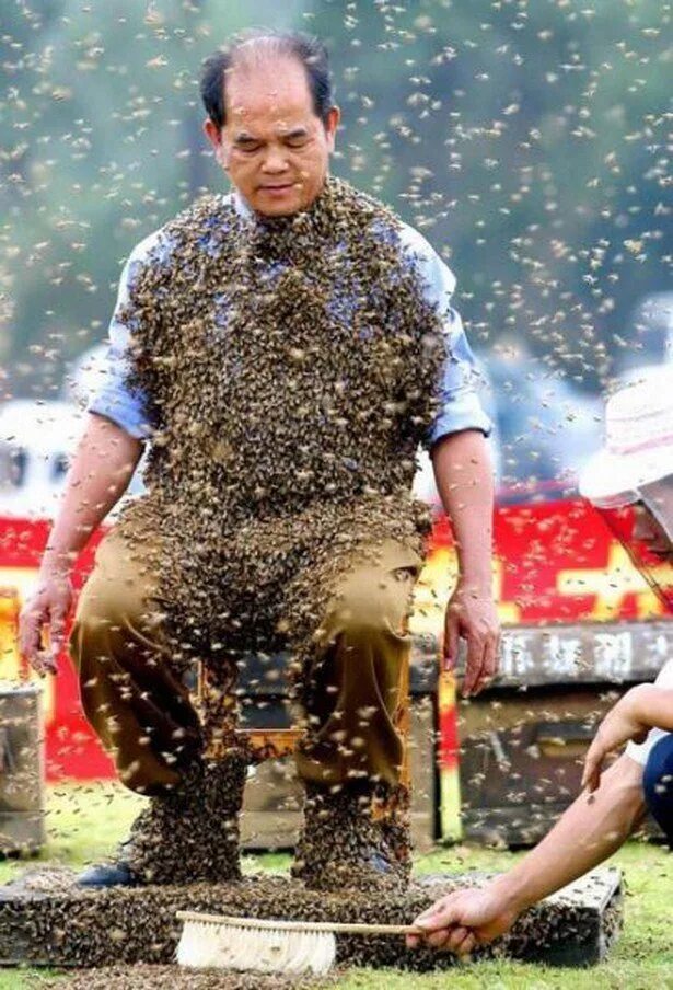 Международный день чудаков-одиночек. Чудак среди чудаков. Чудак среди чудаков. Фото чудаков. Чудаки картинки смешные.