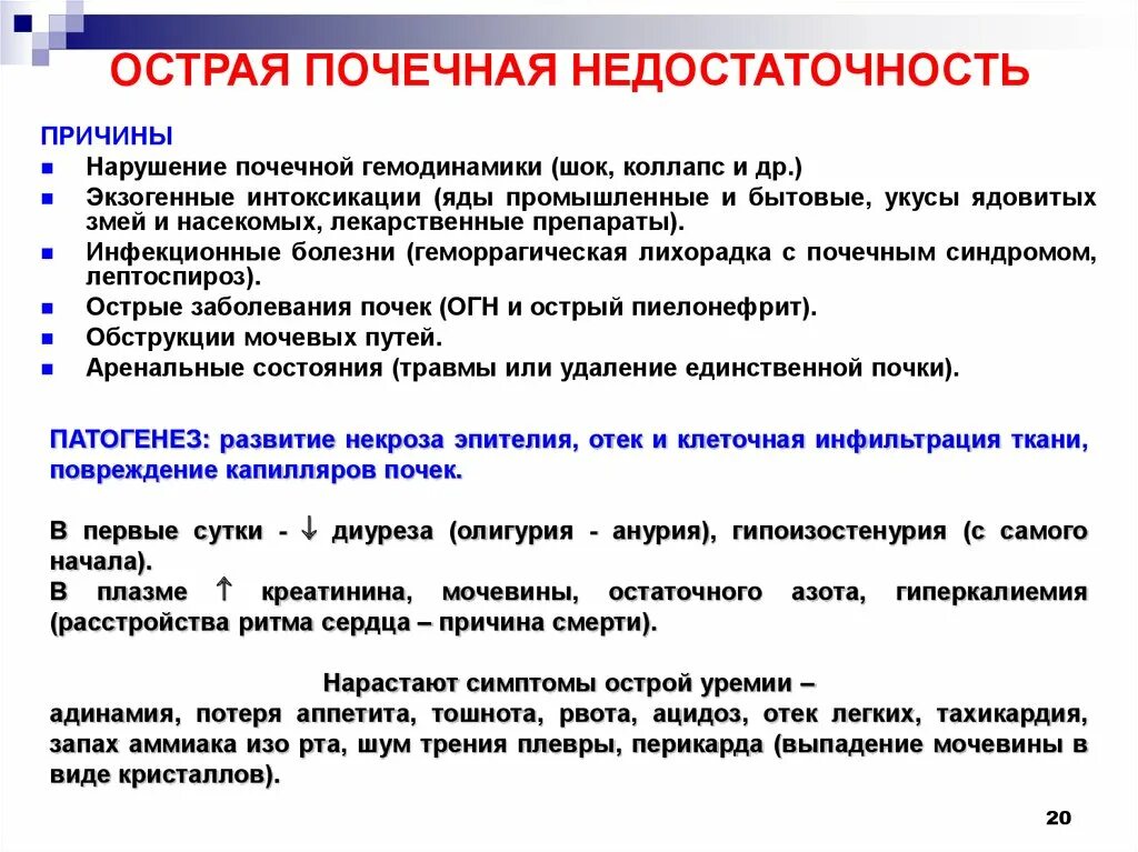 Острые почечные заболевания. Синдром острой почечной недостаточности симптомы. Клинические признаки острой почечной недостаточности. Острая почечная недостаточность симптомы кратко. Причины развития ХПН У детей.