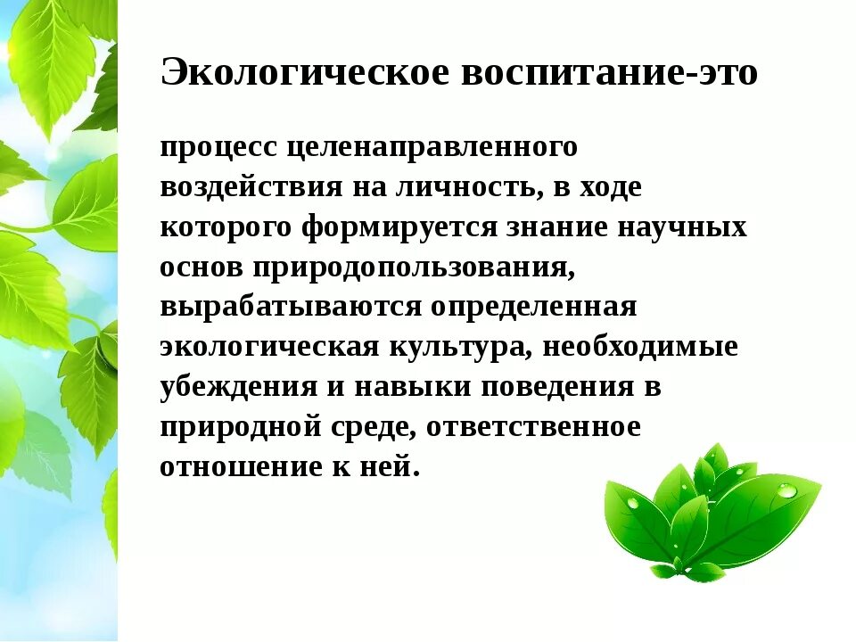 Понятие экологическое образование. Экологическое воспитание. Роль экологического воспитания. Экологическая культура формируется. Роль экологического образования.