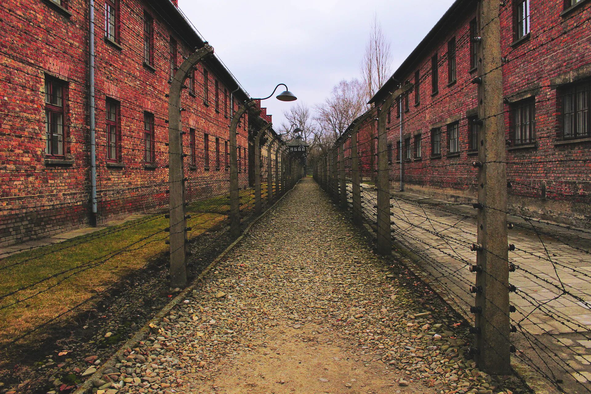 Стена концлагеря. Стена концлагеря. Auschwitz стена расстрела. Стена концлагеря. Концентрационный лагерь аушвиц.