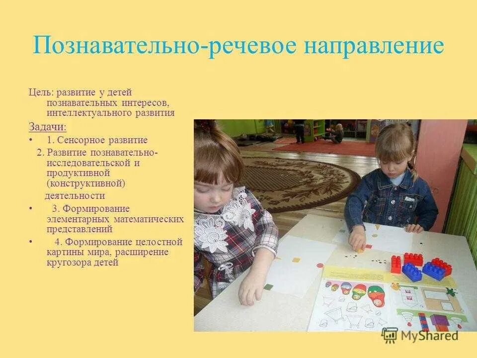 Познавательно речевая игра. Познавательно-речевое развитие дошкольников. Познавательное развитие детей в ДОУ. Познавательно конструктивная деятельность. Познавательное направление в ДОУ.