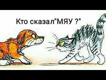 Кот кто сказал мяу