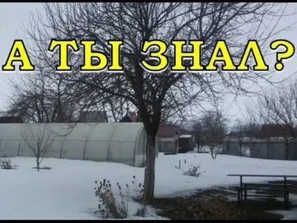 Сад огород март 2024