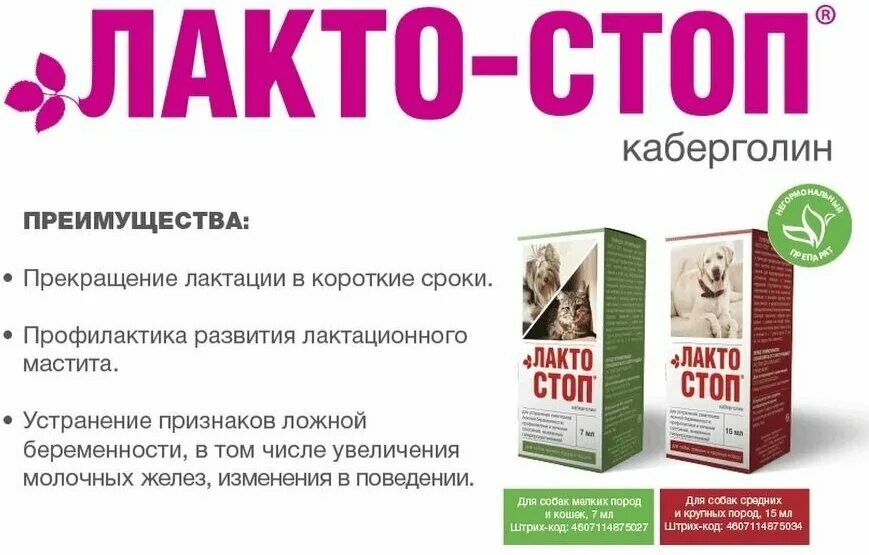 Лактостоп для кошек. Препарат для животных Лактостоп. Лактостоп для собак 7 мл. Лактостоп для собак 15мл. Препарат для остановки лактации у собак.