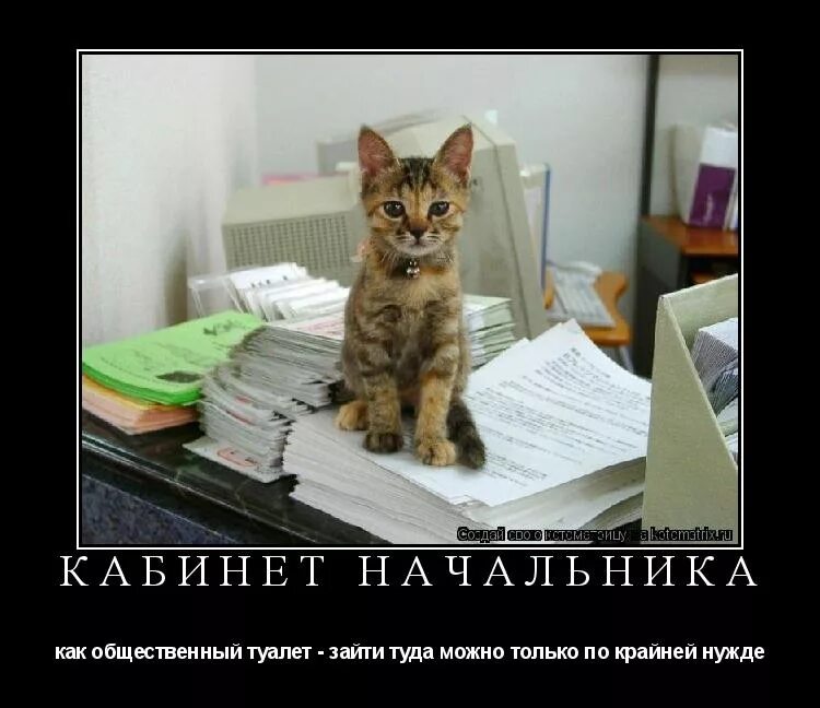 Туда не ходи сюда ходи. Можно туда заходить. Можно туда заходить. Не туда зашел. Можно туда заходить.