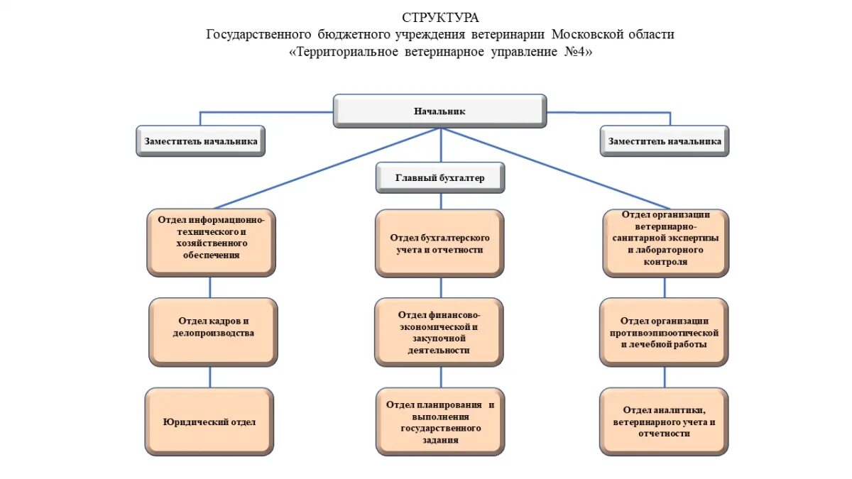 Бюджетные учреждения мо. Организационная структура Министерства сельского хозяйства РФ. Организационная структура ветеринарии. Министерство сельского хозяйства структура организации. Министерство сельского хозяйства схема.