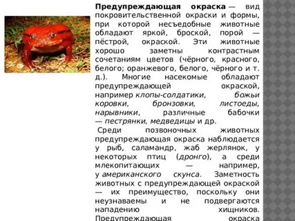 Предостерегающий пример