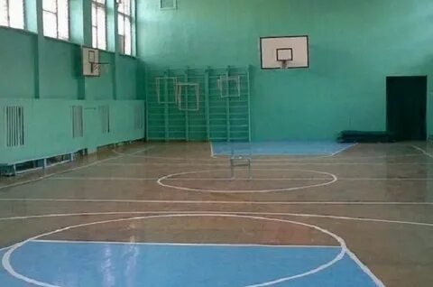 Площадь школьного спортивного