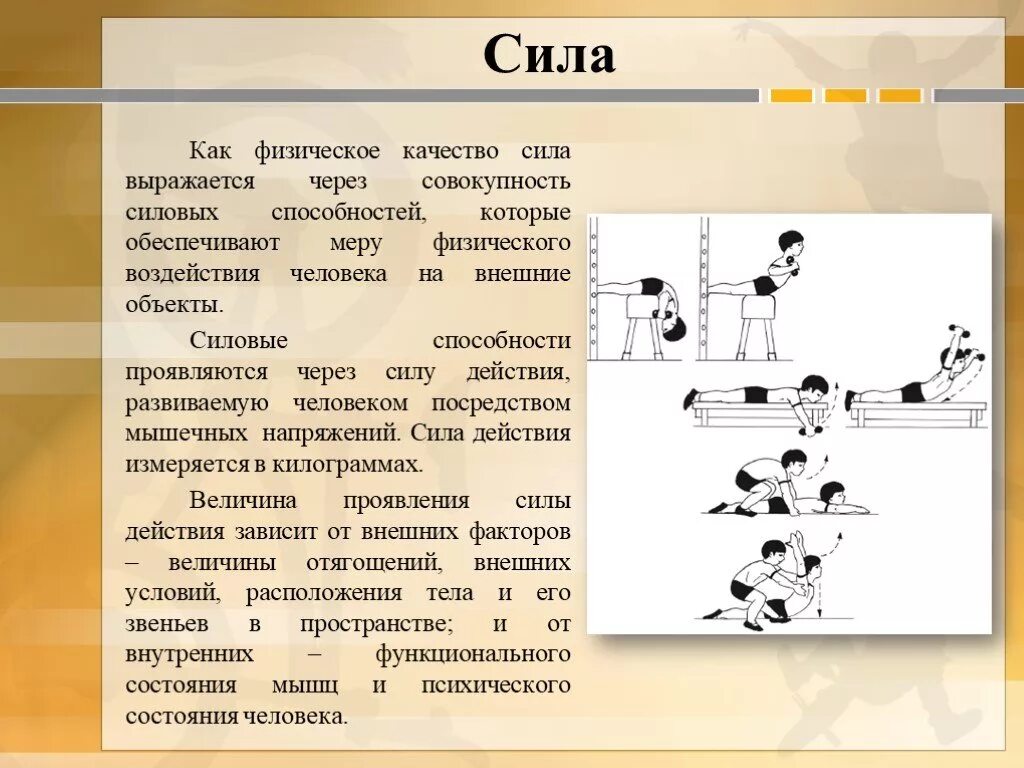 Что играет важную роль при развитии силы. Типы силы в физической культуре. сила определение в физической культуре. сила это в физкультуре определение. что развивает сила в физкультуре.